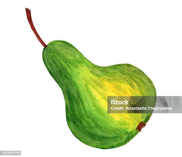 Pear Side View Fresh Green Pear Isolated On White Background Side View Clipping Path ...