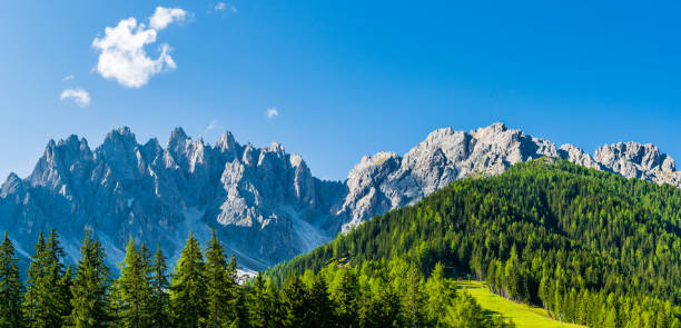 istock Mountains covered with pine forests and green meadows against blue clear sky. 1317832827