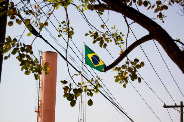 istock Brazilian flag between the wires 1317833408