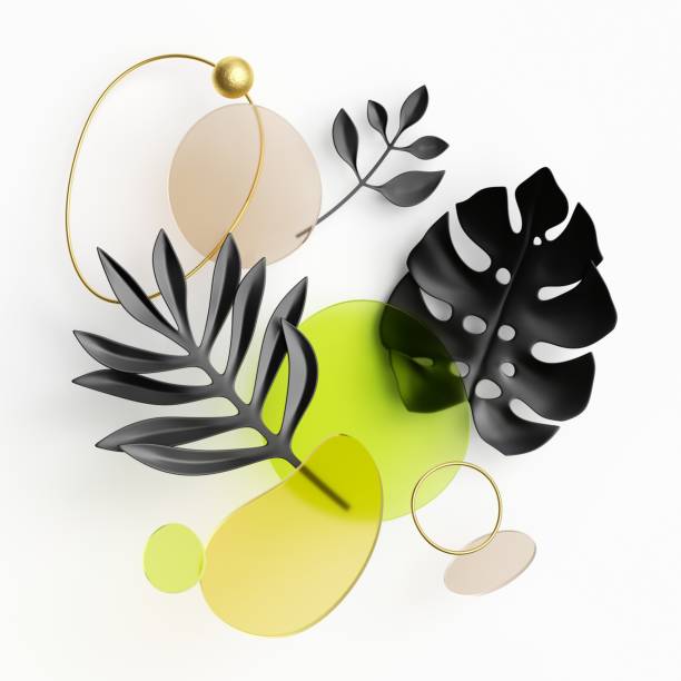 istock 3d render, abstract geometric background with assorted tropical leaves cut of black paper, golden wire and colorful glass shapes 1317836653
