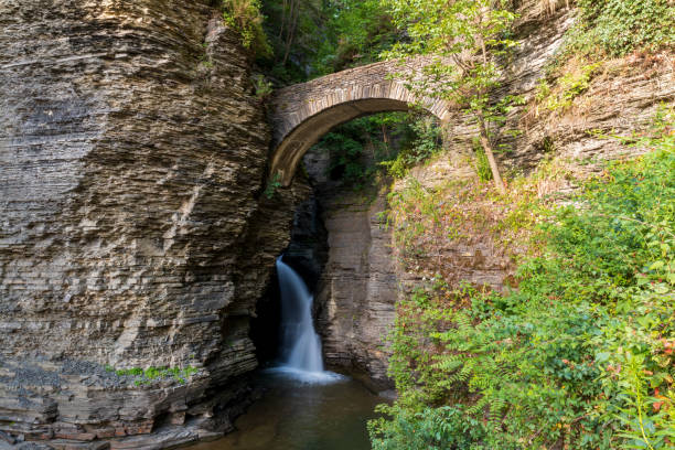 istock Sentry Bridge Entry Way to Watkins Glen State Park 1317837094