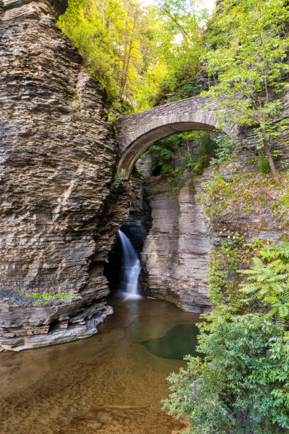 istock Sentry Bridge Entry Way to Watkins Glen State Park 1317837354