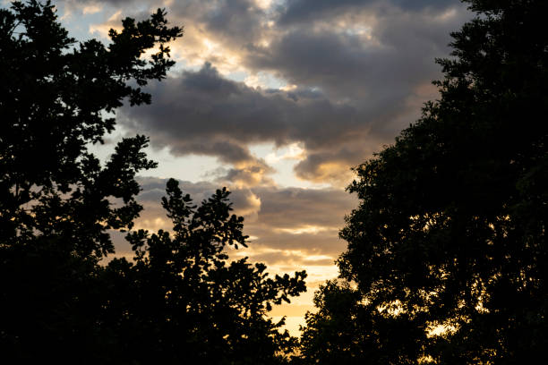 Stunning sunset behind the silhouette of a forest. Cloudy, dramatic sky.