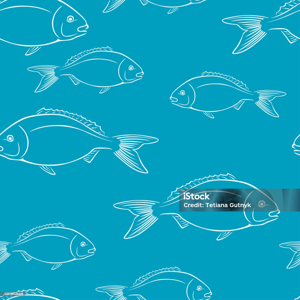 Dorado Fish Outline Seamless Pattern Vector Illustration Seafood ...
