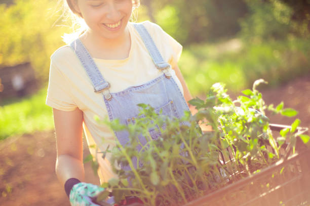 istock New beginnings in new habitat 1317843527