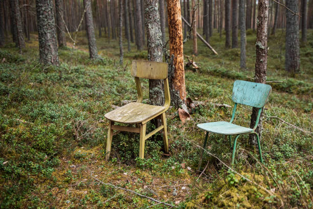 istock Wooden chairs in the forest 1317844824