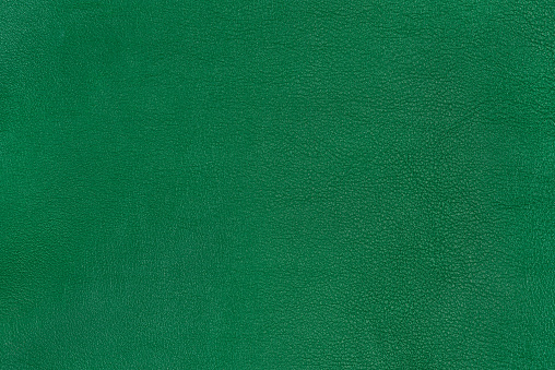 Green textured smooth leather surface background, small grain