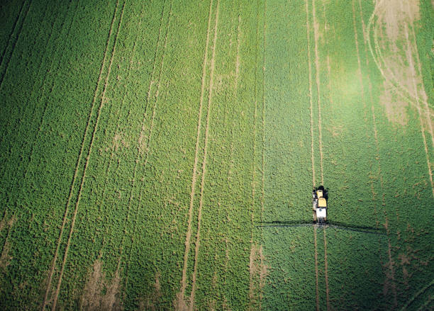 istock Agriculture green field with tractor 1317849883