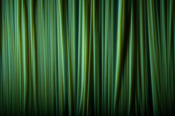 istock green colored spaghetti in a row as background 1317851182
