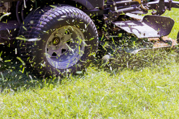 istock Gardening activity, lawn mower cutting the grass. 1317851476