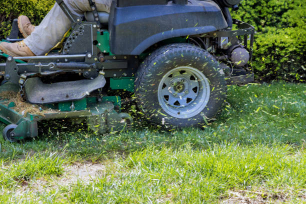 istock Man worker cutting grass in summer with a lawn mower 1317851479