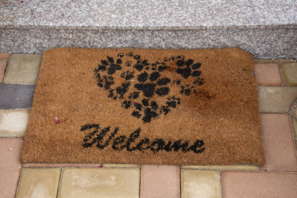 istock Welcome mat wipe your feet 1317853831