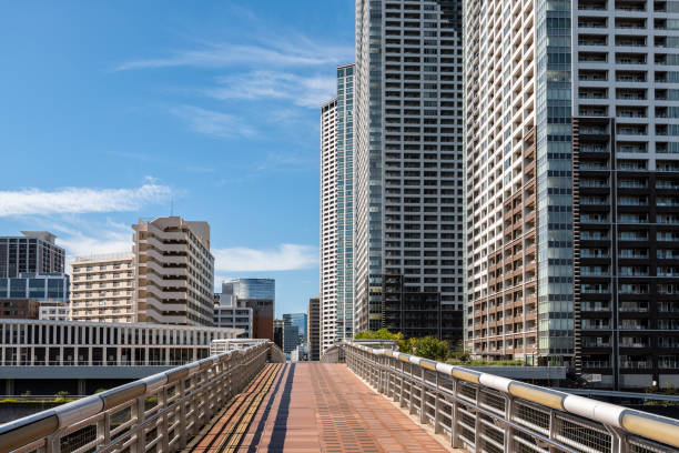 istock Residential area in Tokyo, Japan. 1317855243