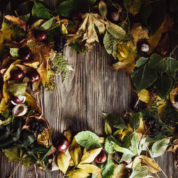 istock Autumn wooden background with maple leaves with copy space 1317856099
