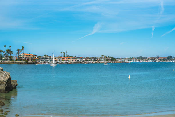 istock Beach landscape in Southern California 1317856149
