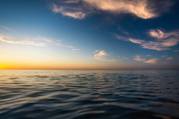 istock Beautiful sunset at the sea 1317857013