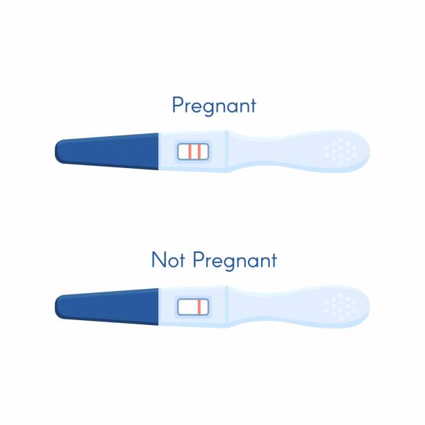 Pregnancy or ovulation positive and negative test Pregnancy or ovulation positive and negative test isolated on white background. family planning stock illustrations
