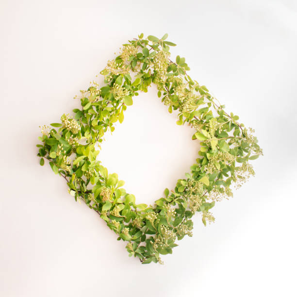 istock Minimalistic summer flat lay idea with bright green leaves and square copy space. Retro nature concept. 1317860004