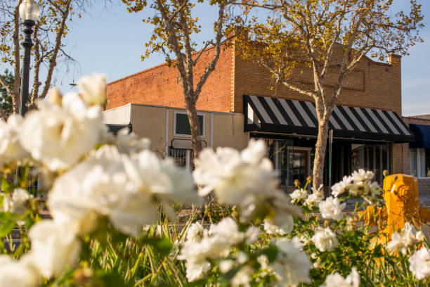 istock Yorba Linda, California 1317861005