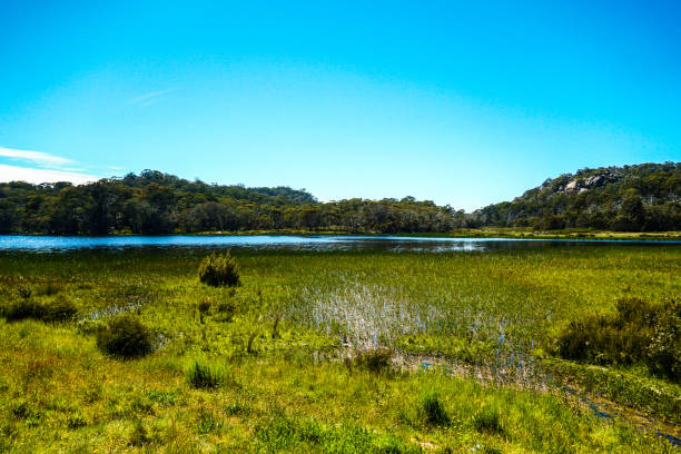 istock Porepunkah, Victoria, Australia 1317861037