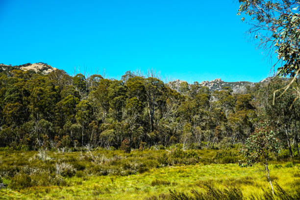 istock Porepunkah, Victoria, Australia 1317861041