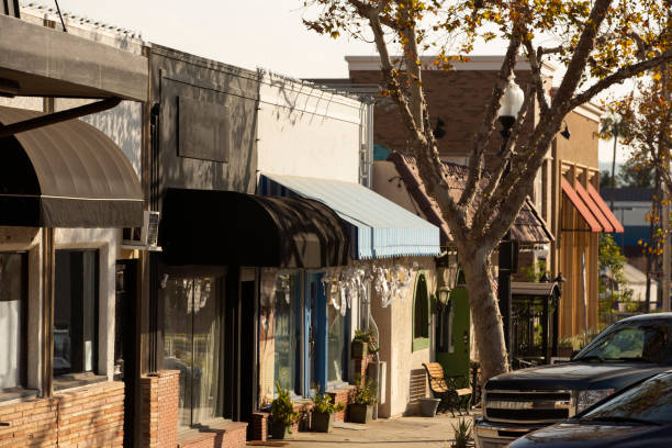 istock Yorba Linda, California 1317861598