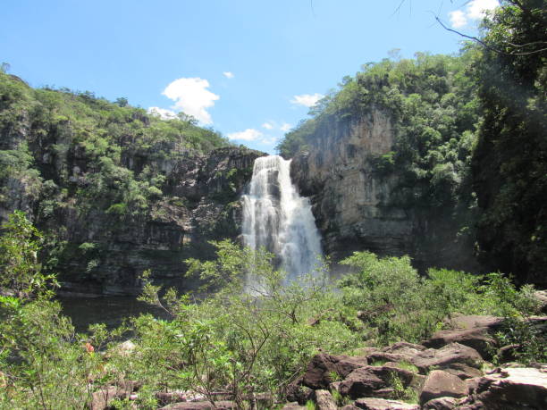 istock Landscape in Chapada dos Veadeiros National Park 1317862710