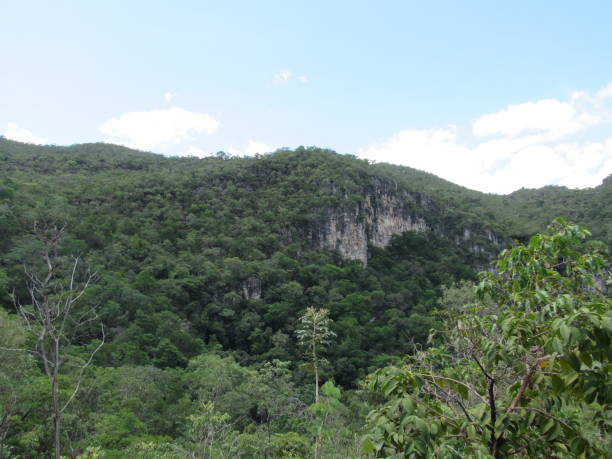 istock Landscape in Chapada dos Veadeiros National Park 1317862736