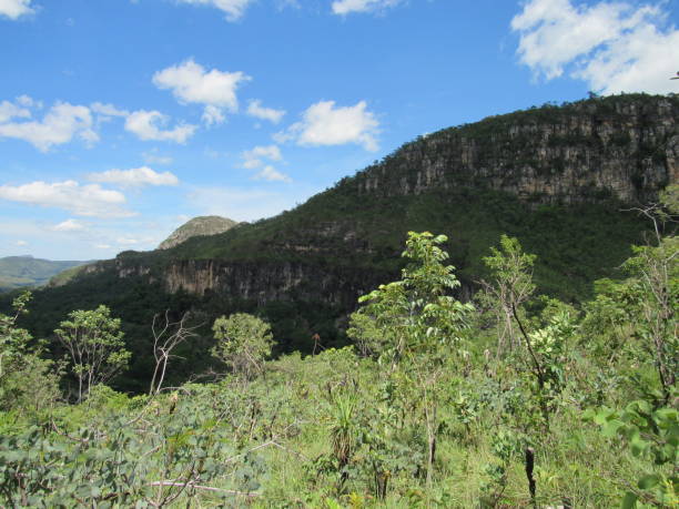 istock Landscape in Chapada dos Veadeiros National Park 1317862740