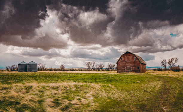 Country Barn Old Grain Bin and Barn red barn house stock pictures, royalty-free photos & images