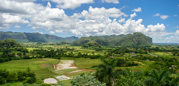 Viñales Valley is a karstic depression in Cuba. The valley has an area of 132 km² and is located in the Sierra de los Órganos mountains, just north of Viñales in the Pinar del Río Province