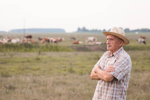 istock Elderly man standing on a cow farm 1317866107