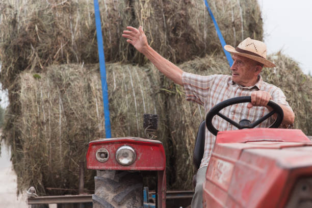 istock Cheerful farmer greeting neighbors when driving hay on a tractor 1317866148