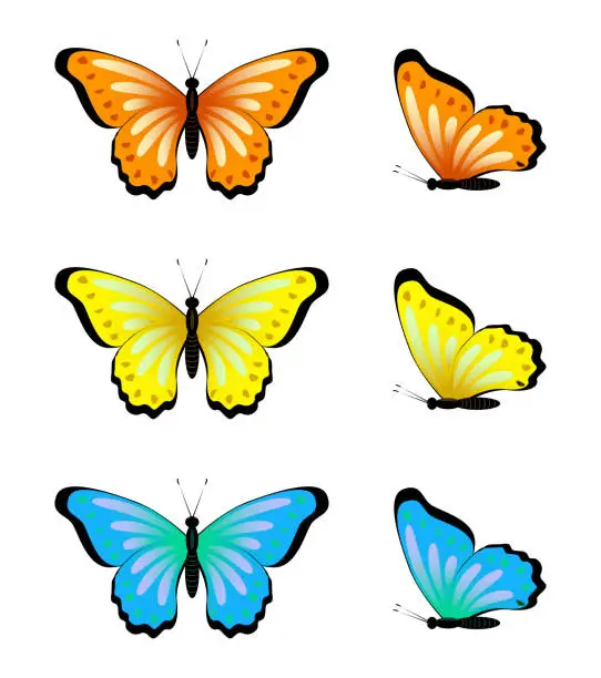 Vector illustration of Set of vector bright butterflies