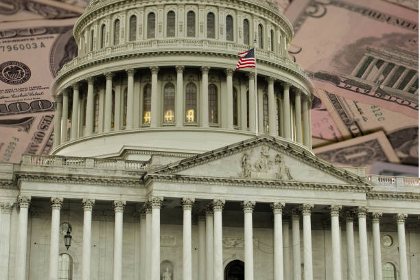 istock Washington DC - Capitol Building & Politics 1317870364
