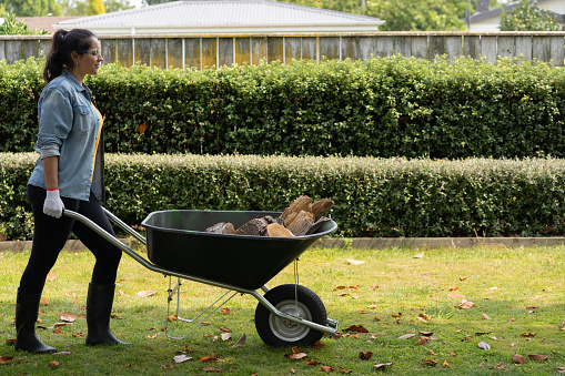 An adult Caucasian garden center worker pushing around a plant carrier. He is located outdoors and is transporting some of the trees to other places. The man is wearing an apron and some gloves. The weather is sunny and the temperatures are pleasant.