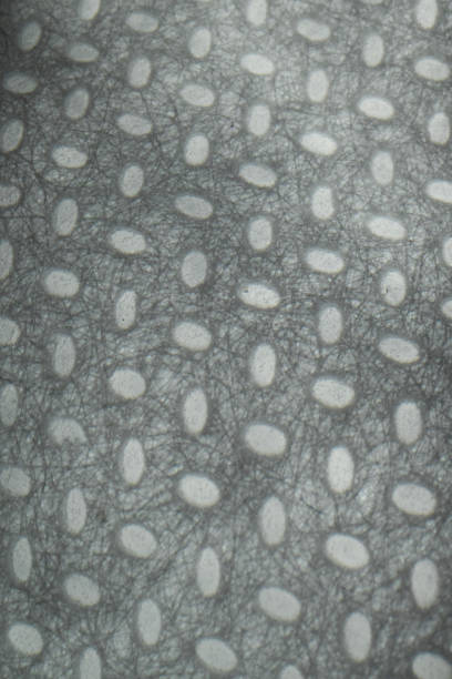 istock Face mask extreme close-up 1317882566