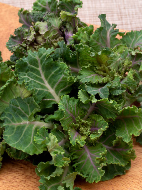 istock Japanese Brussels sprouts named Petit Vert. 1317888016