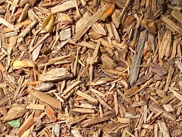 istock Wood Chip Ground Cover 1317890109