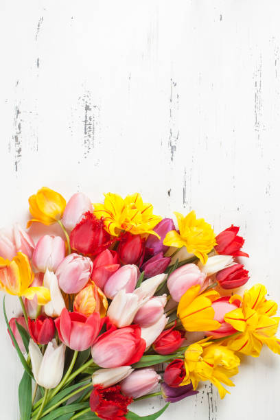 istock Bouquet of colorful tulips 1317893520
