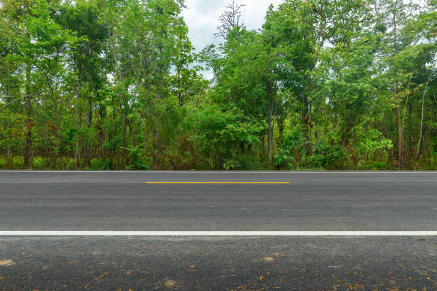 istock Side view of asphalt road with forest 1317894278