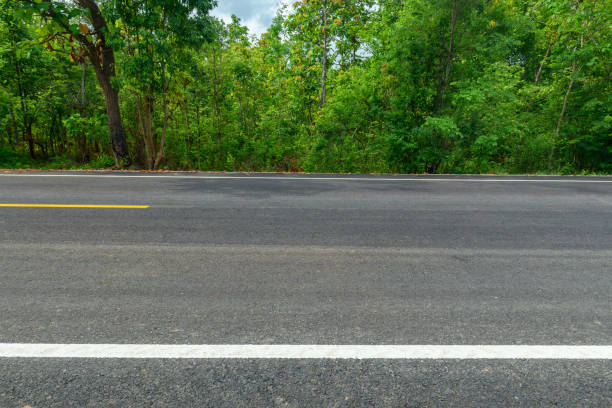 istock Side view of asphalt road with forest 1317894311