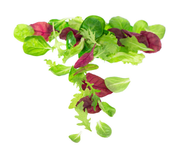 Healthy vegetable diet salad in a bowl