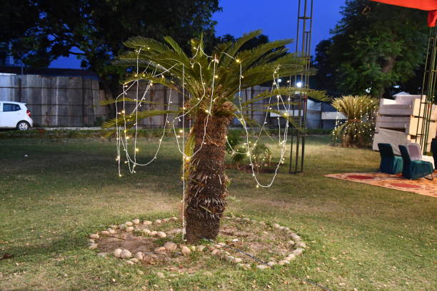 istock Beautifully decorated palm tree with shining lights in the garden 1317899341