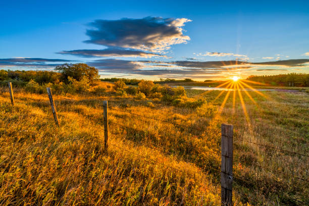 альберта канада сельской местности - alberta prairie autumn field стоковые фото и изображения