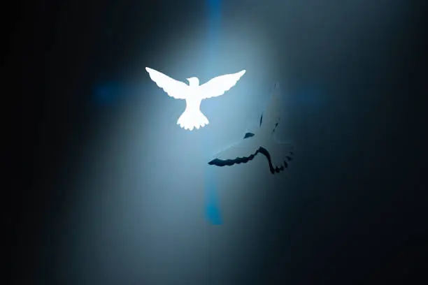 Two Doves silhouettes over a blue cross on dark background. Religious theme.
