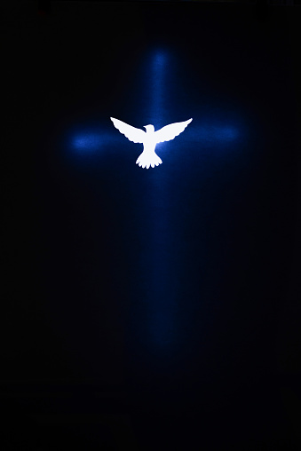 White Dove silhouette over a cross on dark background. Religious theme.