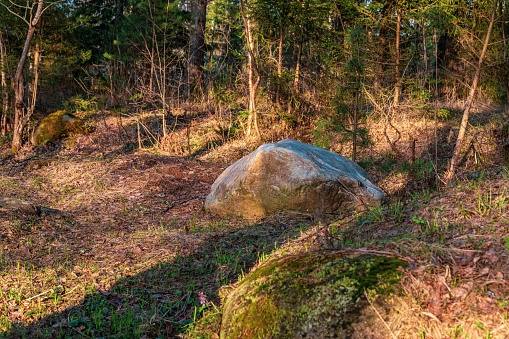 Large stones and green grass, moss, lichen