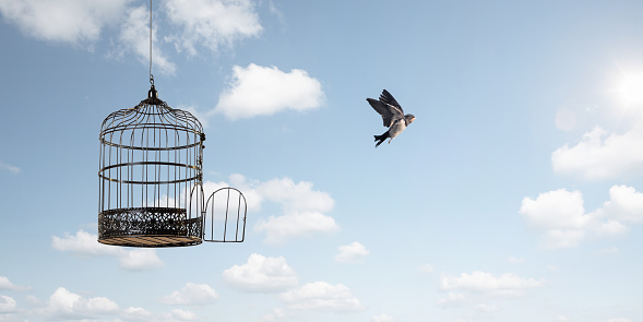 Bird flying away out of an open birdcage. Blue sky background with clouds and the sun.