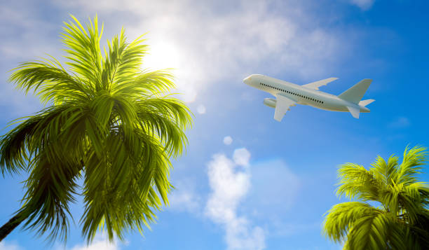 istock A passenger plane flies over tropical palm trees. 3D rendering illustration. 1317906576